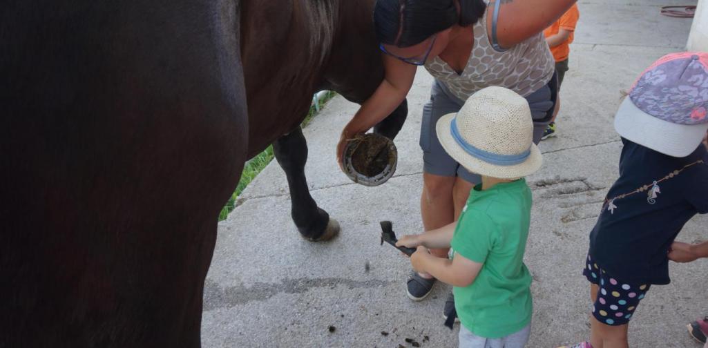 Kleines Kind, großer Huf