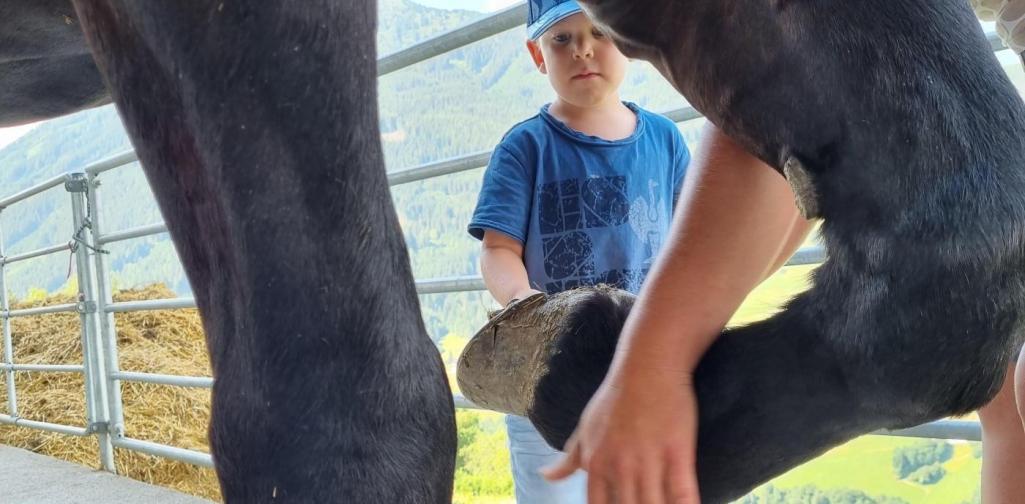 Ausflug Hufe auskratzen