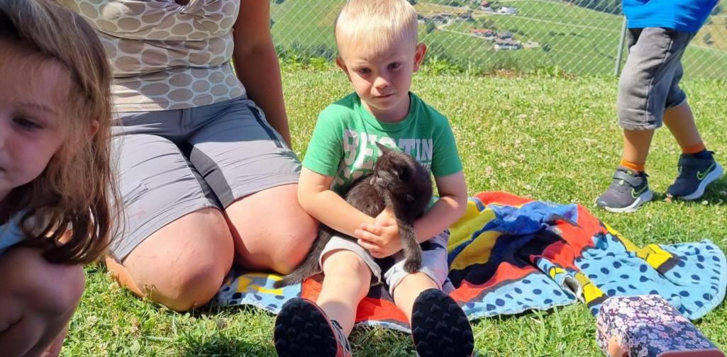 Ausflug Kind und Babykatze