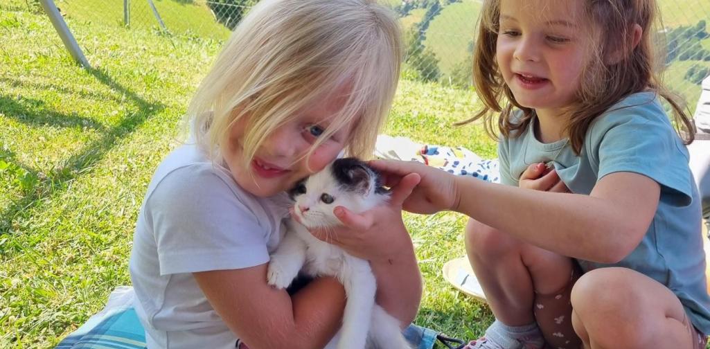 Ausflug Kinder und Babykatze