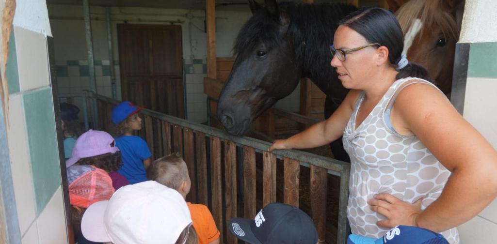 Kinder gehen in den Stall