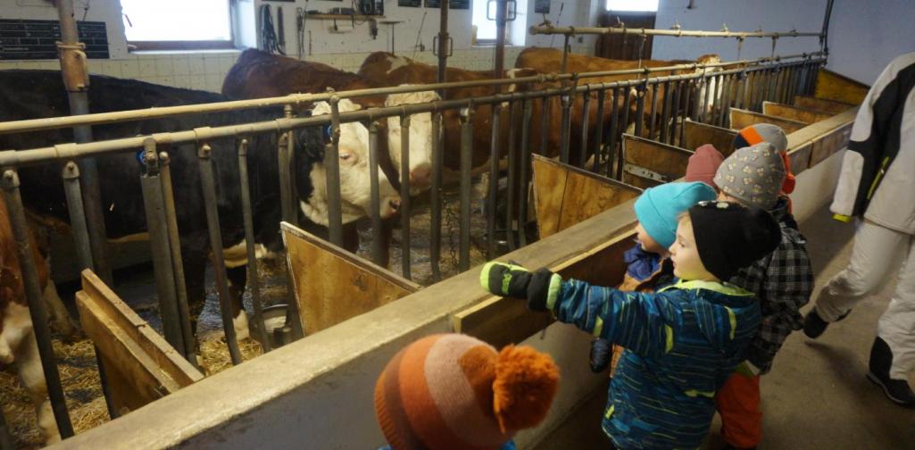 Regenbogengruppe im Stall
