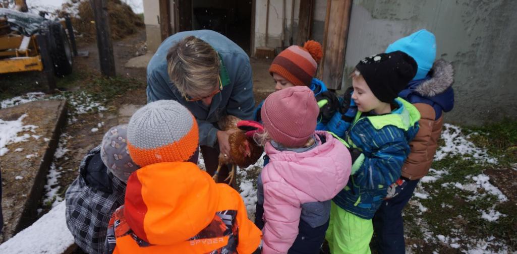 Kinder streicheln ein Huhn