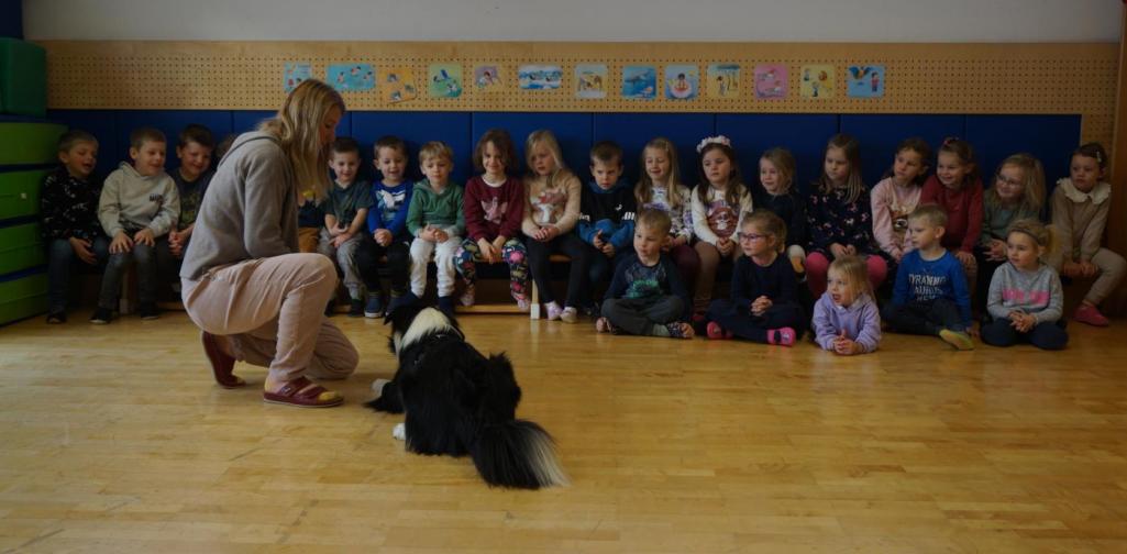 Timmy wird den Kindern vorgestellt