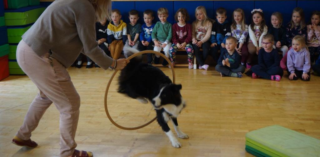 Timmy springt durch den Reifen