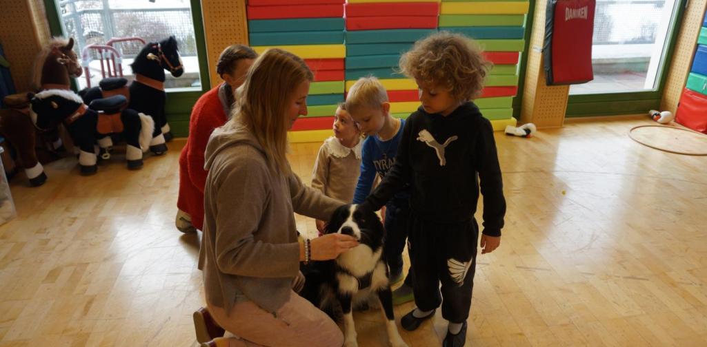 Kinder streicheln Timmy