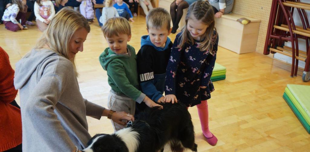 Kinder streicheln Timmy