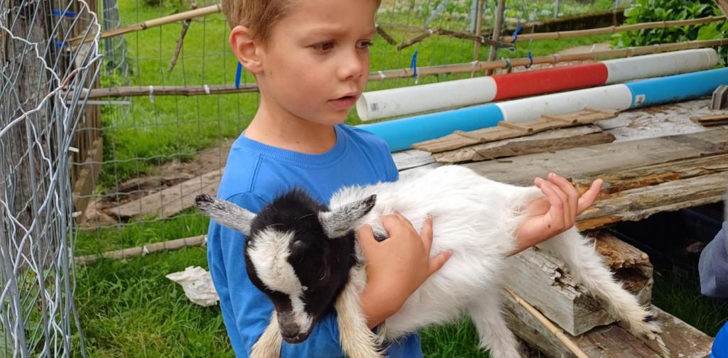 Posch Kind hält Ziege