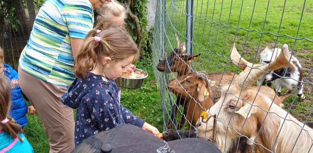 Posch Kinder bei Ziegen