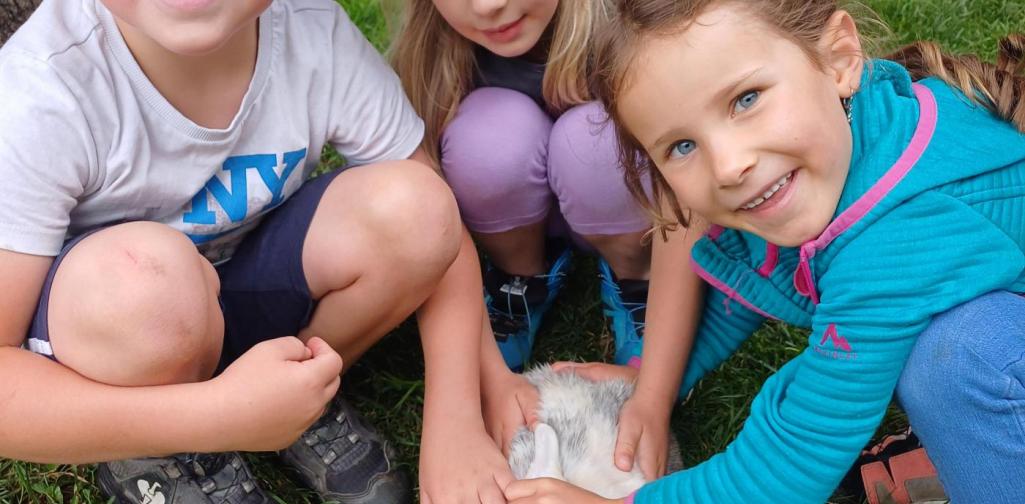 Posch Kinder streicheln einen Hasen
