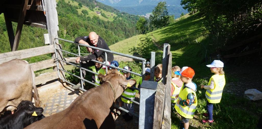 Kinder mit Bauern und Kühen